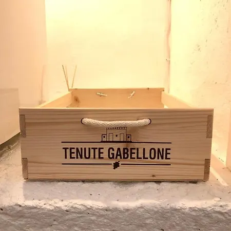 Corte Gabellone - Dimora Storica 나르도